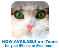 cich_icon ad d copy.png